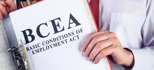Minimum Requirements for Employment Contracts: Understanding Section 29 of the BCEA