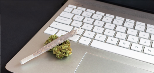 Navigating the Use of Cannabis in the Workplace: A Balanced Approach to Employee Health and Wellness